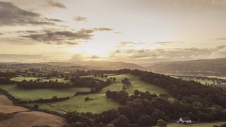 Luxurious, Natural & Sustainable: Celebrate Earth Day with Wild Beauty