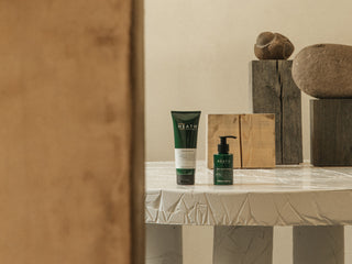 Protecting the Skin against Environmental Aggressors