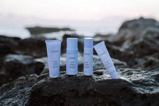 Take Action in Protecting our Oceans with Codex Labs