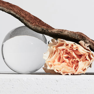 Meet Zarko Ahlmann Pavlov, Founder of Zarkoperfume