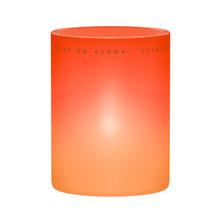 Luminary Woods Candle 230g