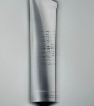 Steam Will Rise Whitening Toothpaste 65ml