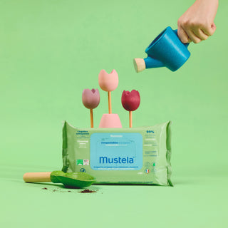 Cleansing Wipes 60 Tissue