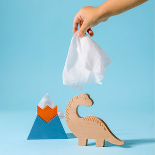 Cleansing Wipes 60 Tissue