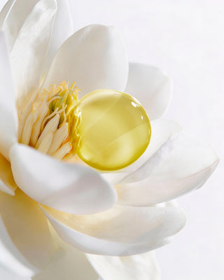 Aromessence White Magnolia 15ml