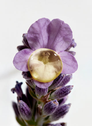 Aromessence Lavender Iris 15ml