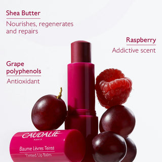 Tinted Lip Conditioner 4.5g