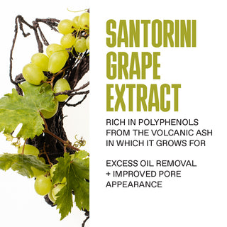 Santorini Grape Volcanic SkinReset Mask 70ml