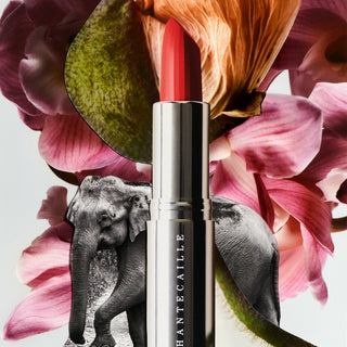Lip Creme Chrysanthemum 3g