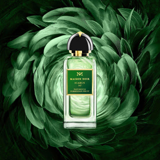 Icarus 347 Eau De Parfum 100ml