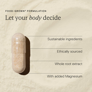 KSM-66® Ashwagandha Plus 60 Capsules