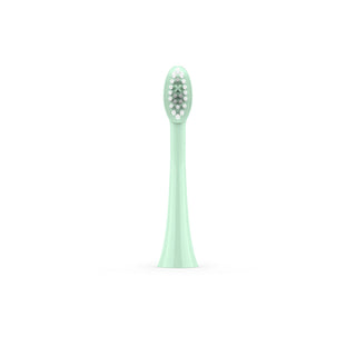 Sonic Brush Head Mint Green Sage 4 Pack