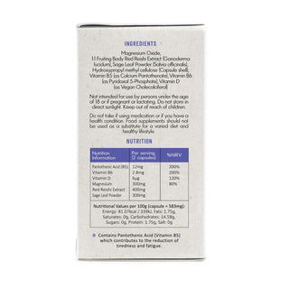 Dream Reishi Mushrooms With Magnesium + Sage 60 Capsule