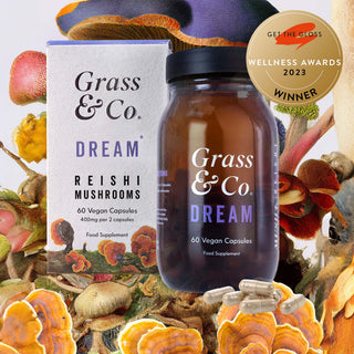 Dream Reishi Mushrooms With Magnesium + Sage 60 Capsule