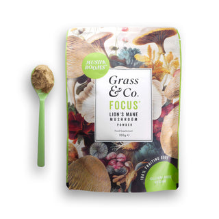 Focus Lion's Mane Mushrooms Powder With Ginseng + Omega-3 100g