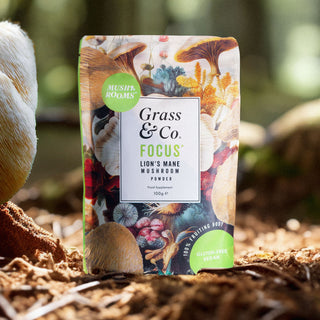 Focus Lion's Mane Mushrooms Powder With Ginseng + Omega-3 100g