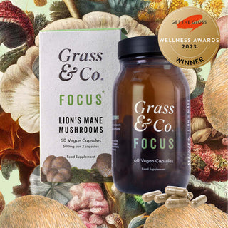 Focus Lion's Mane Mushrooms With Ginseng + Omega-3 60 Capsule