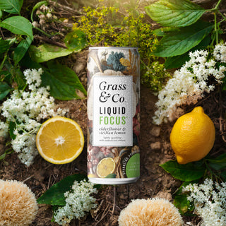 Liquid Focus Elderflower, Sicilian Lemon & Lion's Mane Nootropic Drink 250ml