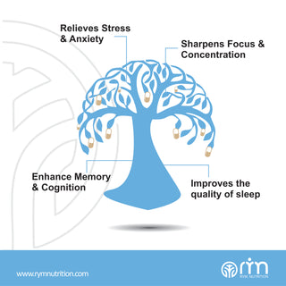 KSM-Ashwagandha - Mega Strength 30 Tablet