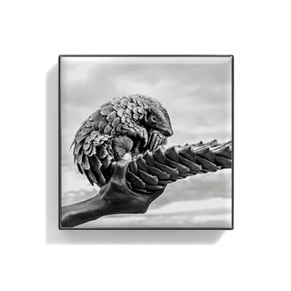 Luminescent Eye Shade Pangolin 2g