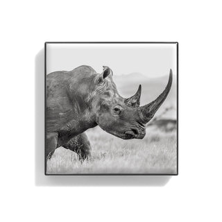 Luminescent Eye Shade Rhinoceros 2g
