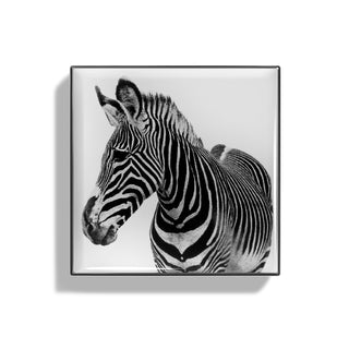 Luminescent Eye Shade Zebra 2g