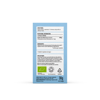 Lion's Mane Pure Grade Extract 60 Capsules