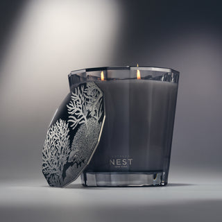 Cerulean Coast 2-Wick Candle