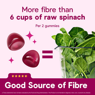 Fibre Bytes 60 Berry Medley Gummies