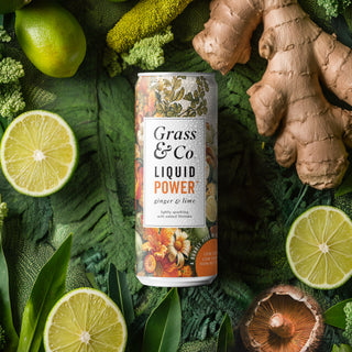 Liquid Power Ginger, Lime & Shiitake Nootropic Drink 250ml