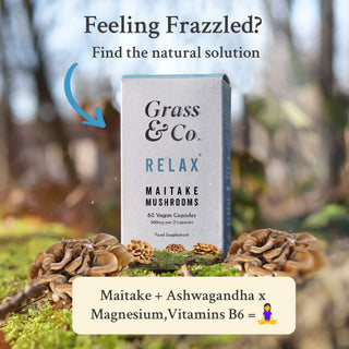 Relax Maitake Mushrooms With Ashwagandha + Magnesium 60 Capsule