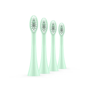 Sonic Brush Head Mint Green Sage 4 Pack