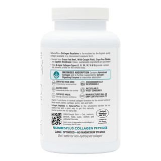 Collagen 240 Capsules