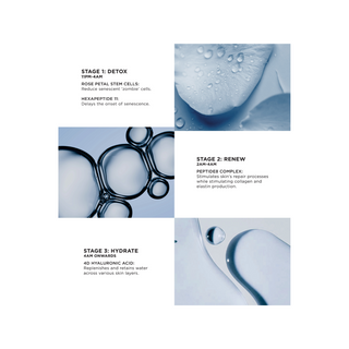 The Absolute Peptide8 Night Serum 30 Doses