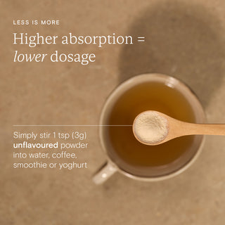 Collagen 500 Plus 94g