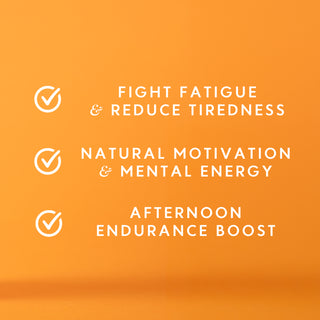 Liquid Power Ginger, Lime & Shiitake Nootropic Drink 250ml