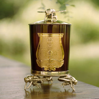 Scented Candles - Cire 270g