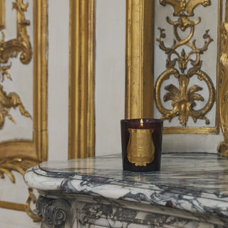 Scented Candles - Solis Rex 270g