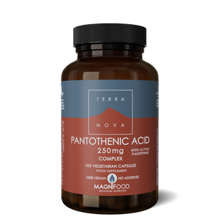 TERRANOVA Pantothenic Acid Complex 100 capsules