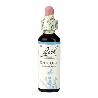 Chicory 20ml