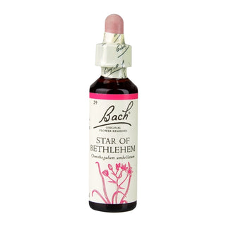 Star Of Bethlehem 20ml