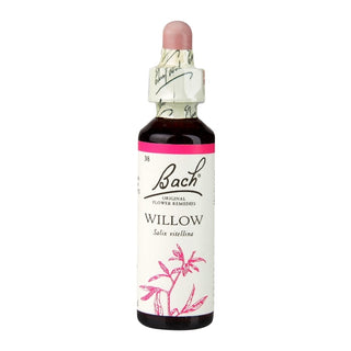Willow 20ml