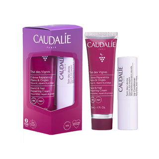 Thé des Vignes Delectable Hand & Lip Duo 1 kit