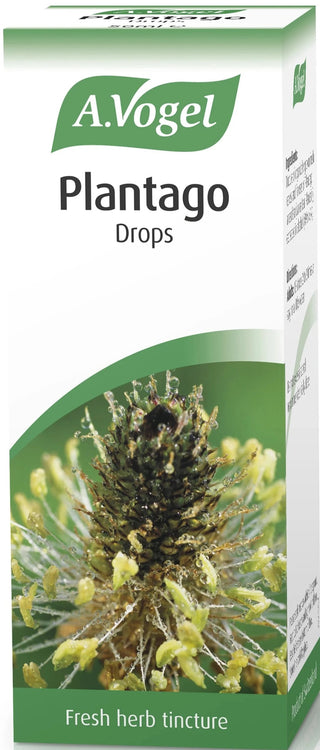 A. VOGEL Plantago 50ml