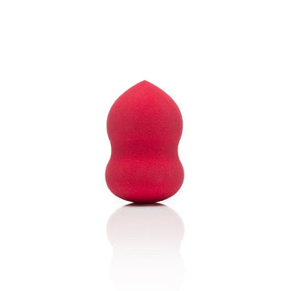 Egg Sponge