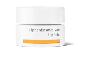 DR HAUSCHKA Lip Balm 4.5ml