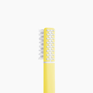 Yellow Echinacea Toothbrush Soft Bristles With Calendar Base