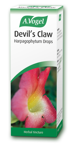 A. VOGEL Devil's Claw 50ml