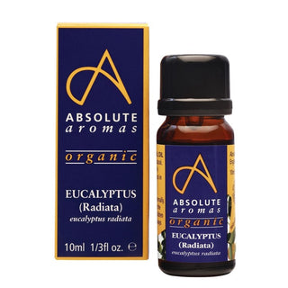 ABSOLUTE AROMAS Organic Eucalyptus Radiata 10ml