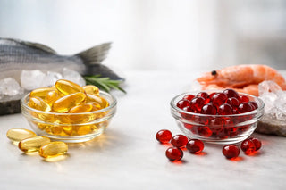 Fish Oil vs Krill Oil: Which Should You Choose?